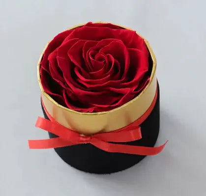 Dried Flower Pot 2Hearts