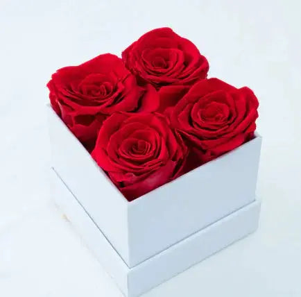 Dried Flower Pot 2Hearts