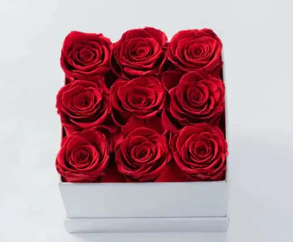 Dried Flower Pot 2Hearts