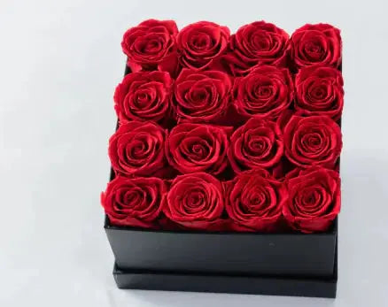 Dried Flower Pot 2Hearts